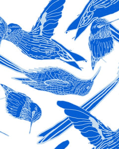 The Hummingbird Print | Full Piece